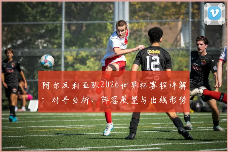 阿尔及利亚队2026世界杯赛程详解:对手分析、阵容展望与出线形势预测